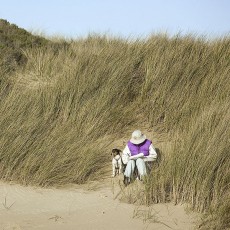 an author writing a book at the beach, accompanied by a dog